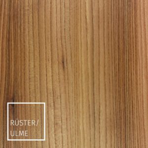 Rüsterholz Ulme, Witterungsbeständigkeit, Dauerhaftigkeit, Holzfarbe, Vorkommen, schönste Möbelhölzer