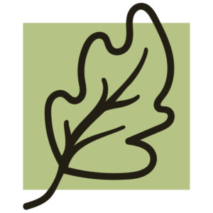 Logo Schreiner Main-Spessart Pfenning Massivholzmöbel