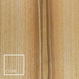 Welches Möbelholz, Eschenholz, Esche, Witterungsbeständigkeit, Dauerhaftigkeit, Holzfarbe, Farbübersicht, passende Holzart, Vorkommen, , schönste Möbelhölzer