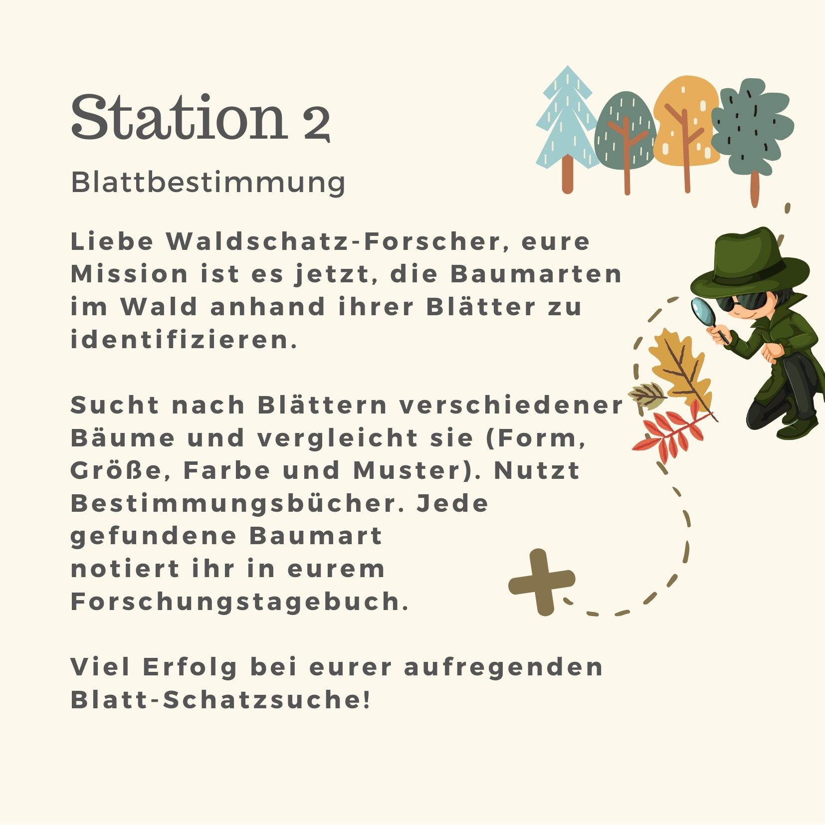 Station 2 - Blattbestimmung (Waldschatzsuche)