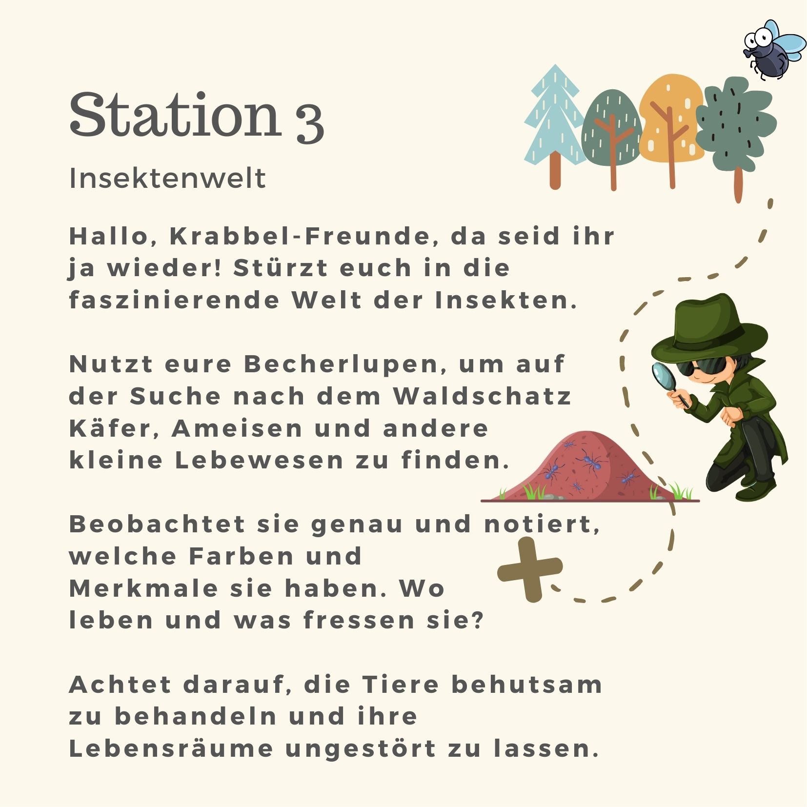 Station 3 - Insektenweld (Waldschatzsuche)