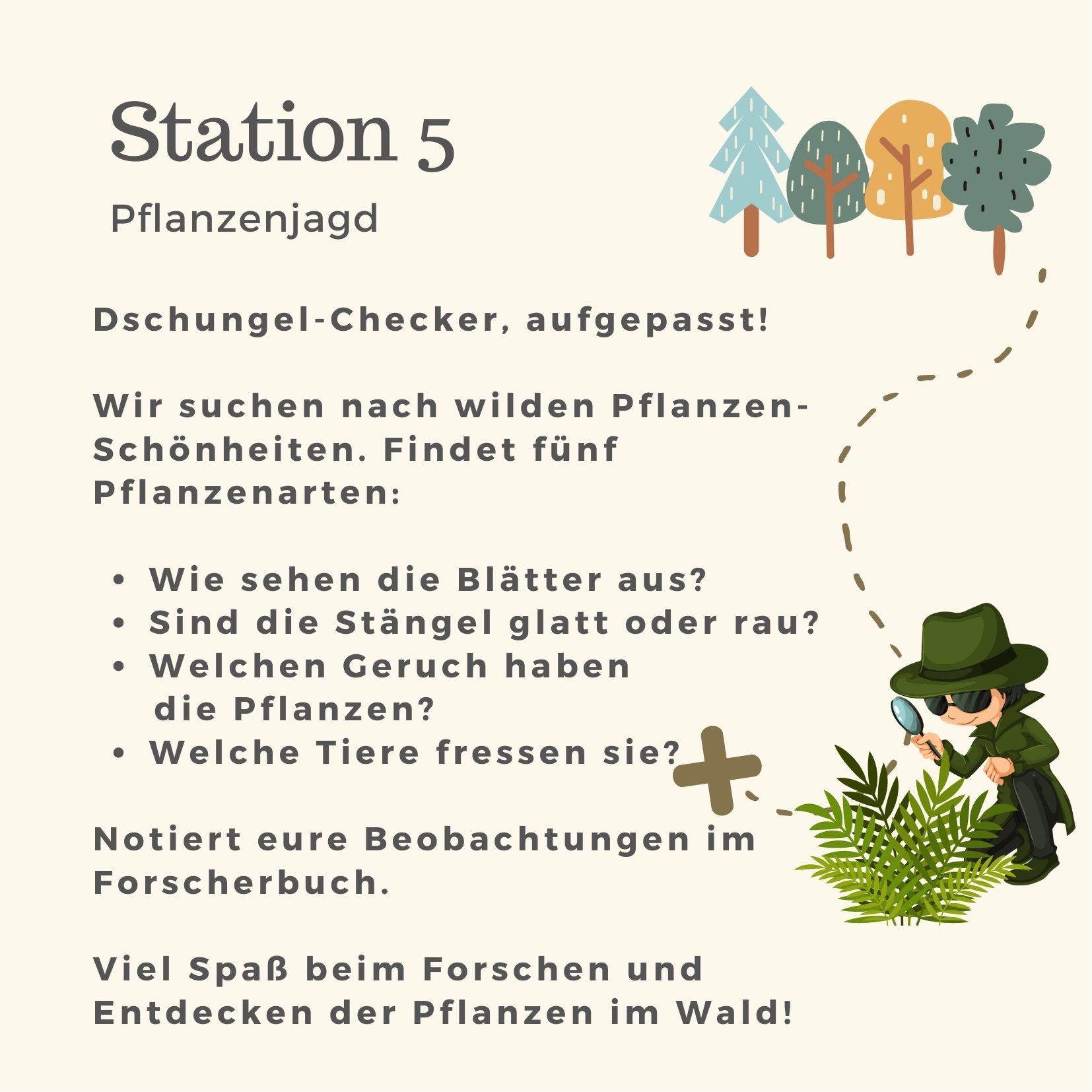 Station 5 - Pflanzenjagd (Waldschatzsuche)