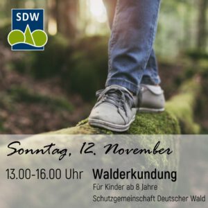 SDW Schutzgemeinschaft Deutscher Wald, Tag des Schreiners, Kinderworkshop, Waldpädagogik