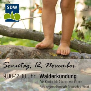 SWD Schutzgemeinschaft Deutscher Wald - Pfenning Massivholzmöbel - Kleinkindworkshop, Waldpädagogik, Kinderfüße im Wald
